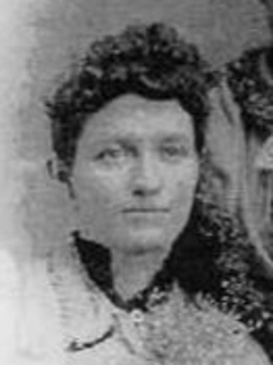 Abigail Emma Pulsipher (1839 - 1929) Profile